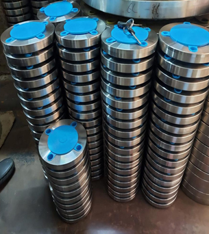 Hastelloy Flanges